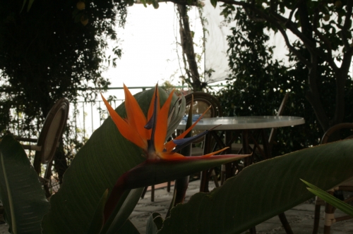 RAVELLO ROOMS Salerno